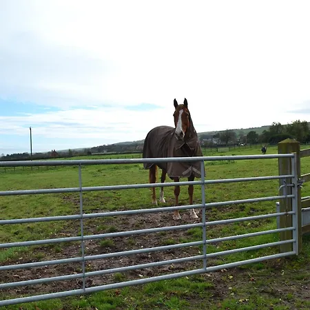 Park Farm * Folkton